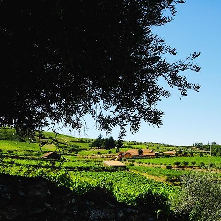 Quinta Do Monte Travesso - Country Houses & Winery Tabuaço Exteriör bild