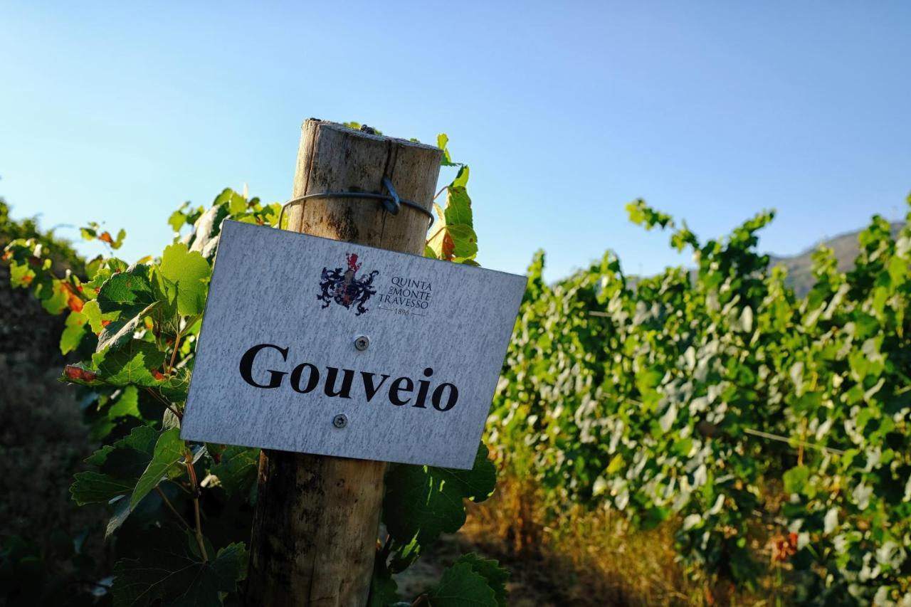 Quinta Do Monte Travesso - Country Houses & Winery Tabuaço Exteriör bild