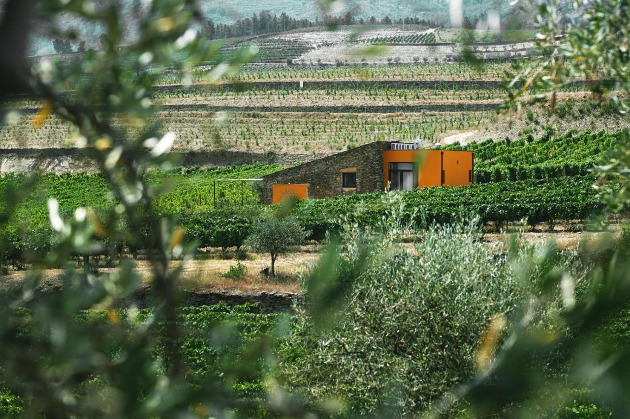 Quinta Do Monte Travesso - Country Houses & Winery Tabuaço Exteriör bild